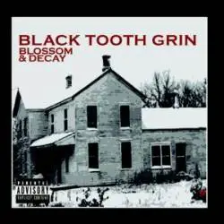 Black Tooth Grin : Blossom And Decay